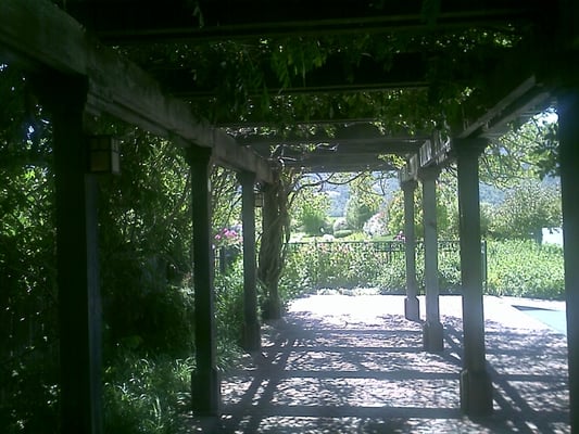 Turnbull Wine Cellars by null