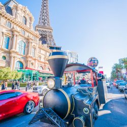 Annie Bananie Las Vegas Tours