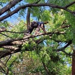 Cro Outdoor Services