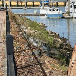 Pittsburg Marina