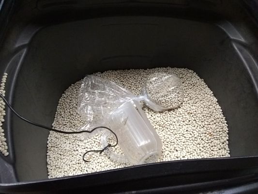 Segal's Market by null