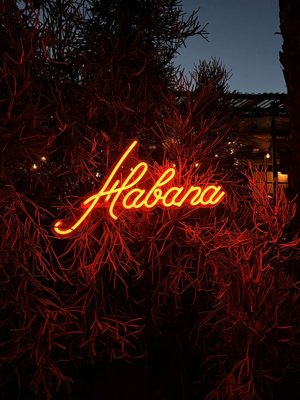 Habana by null