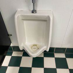 Clogged urinal