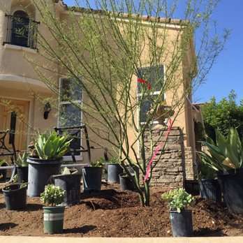 Moon Valley Nurseries - Tree Services Near Me - Irvine, California