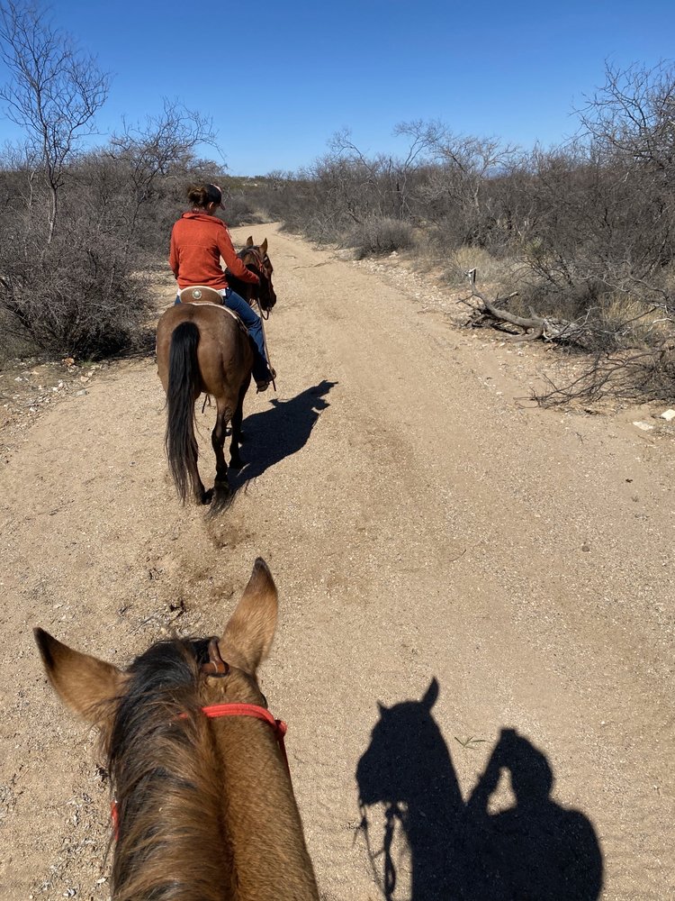 PONY LAND AZ Updated September 2024 643 W Louis St, Tombstone, Arizona Horseback Riding