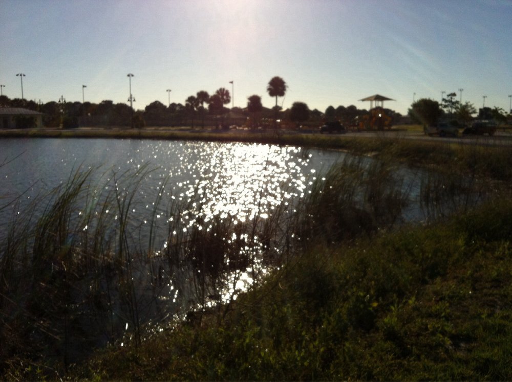 Ann Dever Memorial Regional Park Image