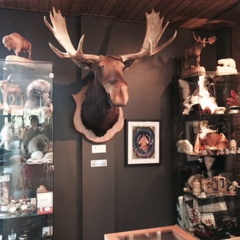 Hôtel-Musée Premières Nations - Moose and items - Hotels Near Me - Wendake, Quebec Hôtel-Musée Premières Nations - Moose and items - Hotels Near Me - Wendake, Quebec