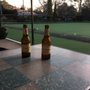 Photo of Healesville Bowling Club