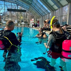 Bermuda Triangle Dive Shop of Asheville