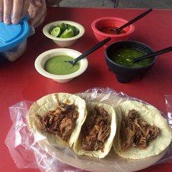 Chivo de Oro - Best.goat.tacos.ever!