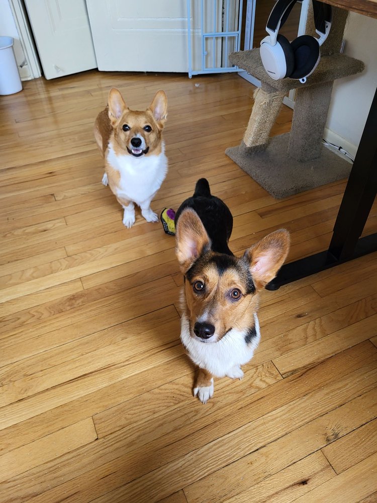 NORTHPOINT EXOTIC DANCE CLUB Updated November 2024 N2085 Us Hwy 41