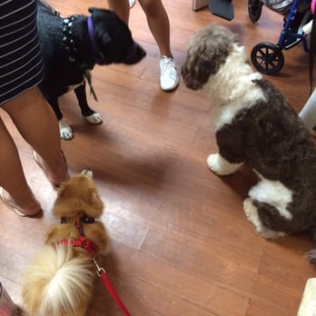 Live Love Pet - Let your dog make new friends. - Pet Groomers Near Me - Honolulu, Hawaii Live Love Pet - Let your dog make new friends. - Pet Groomers Near Me - Honolulu, Hawaii