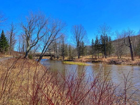 The Windham Path by null