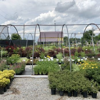 Showplace Landscaping, Inc. - a variety of plants - Landscaping Near Me - Dry Ridge, Kentucky Showplace Landscaping, Inc. - a variety of plants - Landscaping Near Me - Dry Ridge, Kentucky