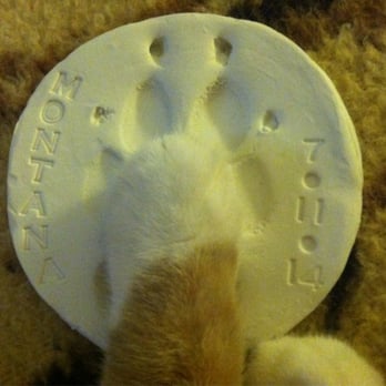 Kristi Freeman, DVM - Graceful Departure - Clay paw print - Hospice Near Me - La Mesa, California Kristi Freeman, DVM - Graceful Departure - Clay paw print - Hospice Near Me - La Mesa, California