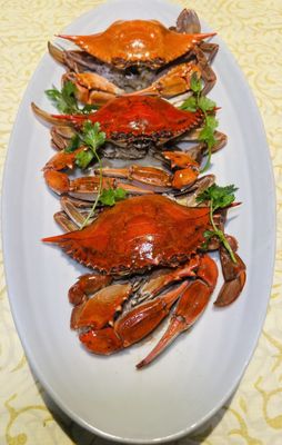 Tasty Seafood & Dim Sum by null
