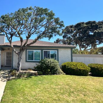Chavez Tree service - Tree was thinned and trimmed as it was previously overgrown and getting too close to our roof. Thank you Arturo! - Tree Services Near Me