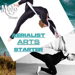 The Mojo Technique - $80 starter pack includes three Aerial conditioning classes and one free Pilates class all for $80 value that $190