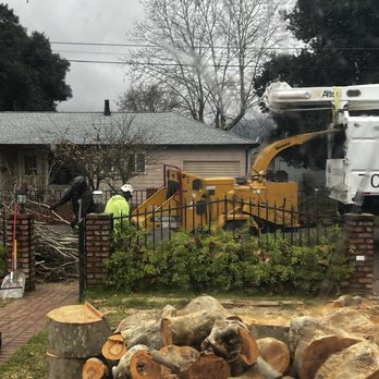 G Garcia Tree Service - Cleaning and clearing the driveway. - Tree Services Near Me - Santa Rosa, California G Garcia Tree Service - Cleaning and clearing the driveway. - Tree Services Near Me - Santa Rosa, California