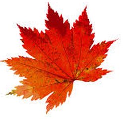Autumn of Life Senior Housing and Advisory Services