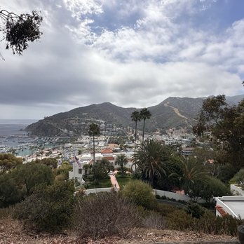 Catalina Expeditions - View of Catalina from tour - Tours Near Me - Avalon, California