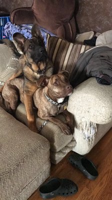 University Auto Care