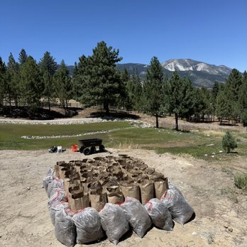 Yezmani Junk Removal - 70 bags of pine needles gone! - Junk Removal & Hauling Near Me - Carson City, Nevada Yezmani Junk Removal - 70 bags of pine needles gone! - Junk Removal & Hauling Near Me - Carson City, Nevada