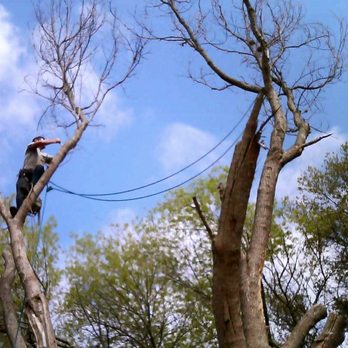 9-1-1 Landscaping And Tree Services - Landscaping Near Me - San Antonio, Texas 9-1-1 Landscaping And Tree Services - Landscaping Near Me - San Antonio, Texas