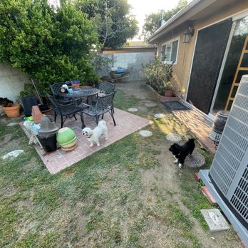 Supergreen Landscape - backyard- removed old pavers and old sprinklers - Landscaping Near Me - Los Angeles, California Supergreen Landscape - backyard- removed old pavers and old sprinklers - Landscaping Near Me - Los Angeles, California