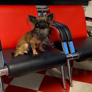 American Mobility - Find our mascot Scooter in our shop! - Mobility Equipment Sales & Services Near Me - Tucson, Arizona American Mobility - Find our mascot Scooter in our shop! - Mobility Equipment Sales & Services Near Me - Tucson, Arizona