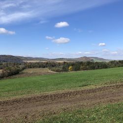 Windy Hill Orchard & Farm Market