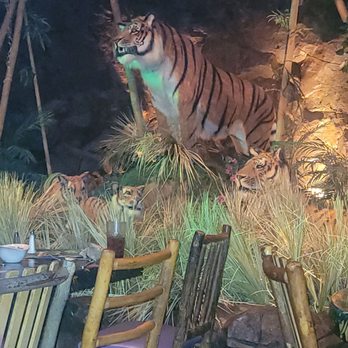 Rainforest Cafe - American Near Me - Sunrise, Florida