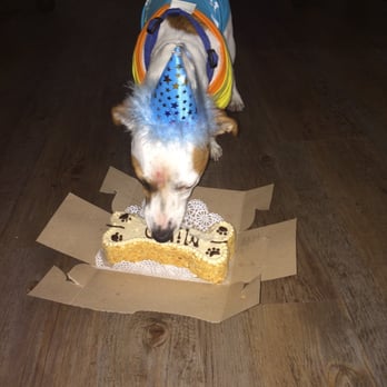 Three Dog Bakery - Pet Stores Near Me - Vancouver, British Columbia