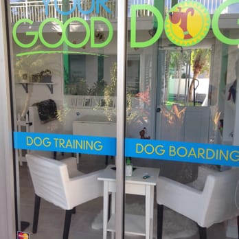 Your Good Dog - Pet Training Near Me - Key Biscayne, Florida Your Good Dog - Pet Training Near Me - Key Biscayne, Florida