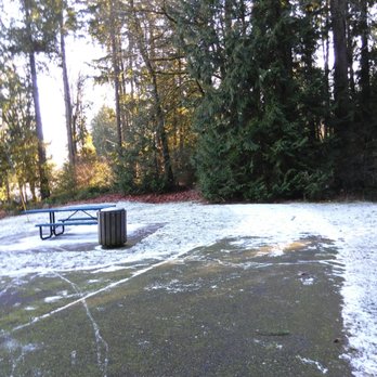 Wanschers Park - Jackson and I were ready to go down the road that leads into snow. - Parks Near Me - Lacey, Washington Wanschers Park - Jackson and I were ready to go down the road that leads into snow. - Parks Near Me - Lacey, Washington