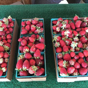 Strawberry Stand Leisure Town Rd - Strawberries - Fruits & Veggies Near Me Strawberry Stand Leisure Town Rd - Strawberries - Fruits & Veggies Near Me