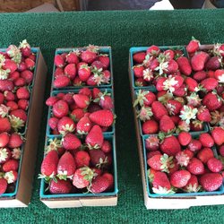 Strawberry Stand Leisure Town Rd - Strawberries