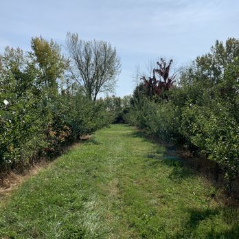 Prospect Hill Orchards - Fruits & Veggies Near Me - Milton, New York Prospect Hill Orchards - Fruits & Veggies Near Me - Milton, New York