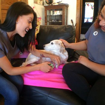 Monarch Vet Tech Services - Nail Trims at Home. - Pet Groomers Near Me - Toronto, Ontario Monarch Vet Tech Services - Nail Trims at Home. - Pet Groomers Near Me - Toronto, Ontario