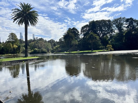 Royal Botanic Gardens Victoria - Melbourne Gardens by null
