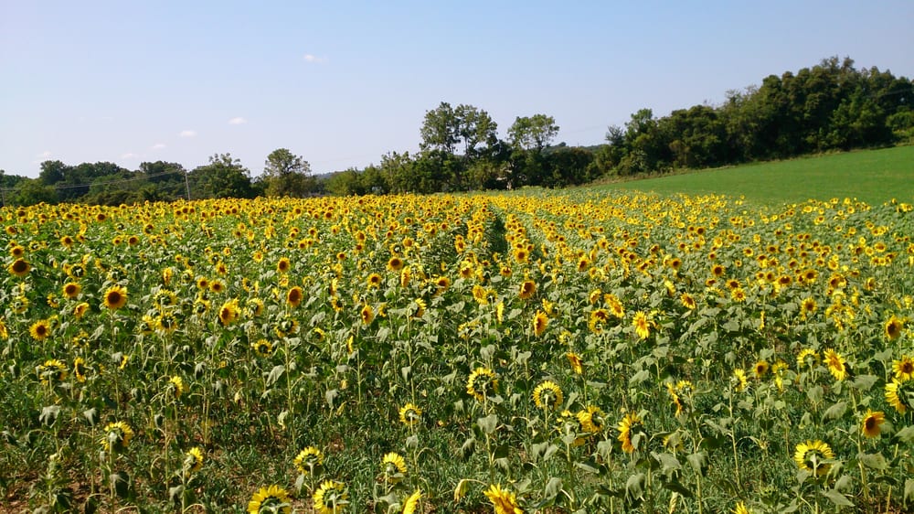 BRANDYWINE RED CLAY ALLIANCE Updated September 2024 1760 Unionville