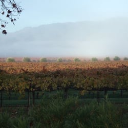 Seebass Family Wines