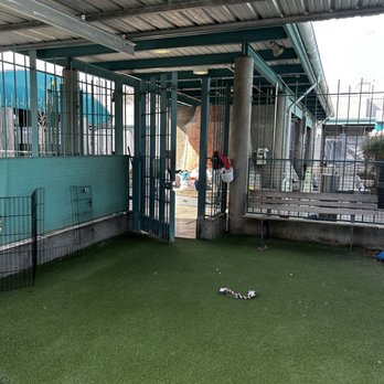 LA Animal Services - Animal Shelters Near Me - Los Angeles, California