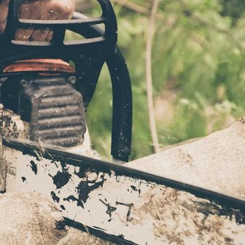 United Tree Services - Tree Services Near Me