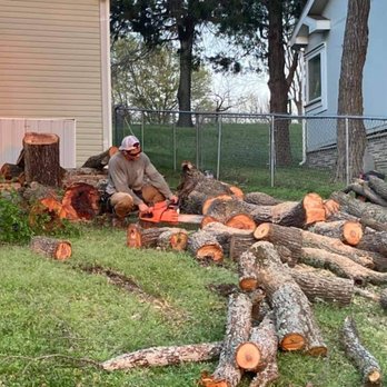 Rockin' A Timber - Cutting up downed tree. - Tree Services Near Me - Canton, Texas Rockin' A Timber - Cutting up downed tree. - Tree Services Near Me - Canton, Texas