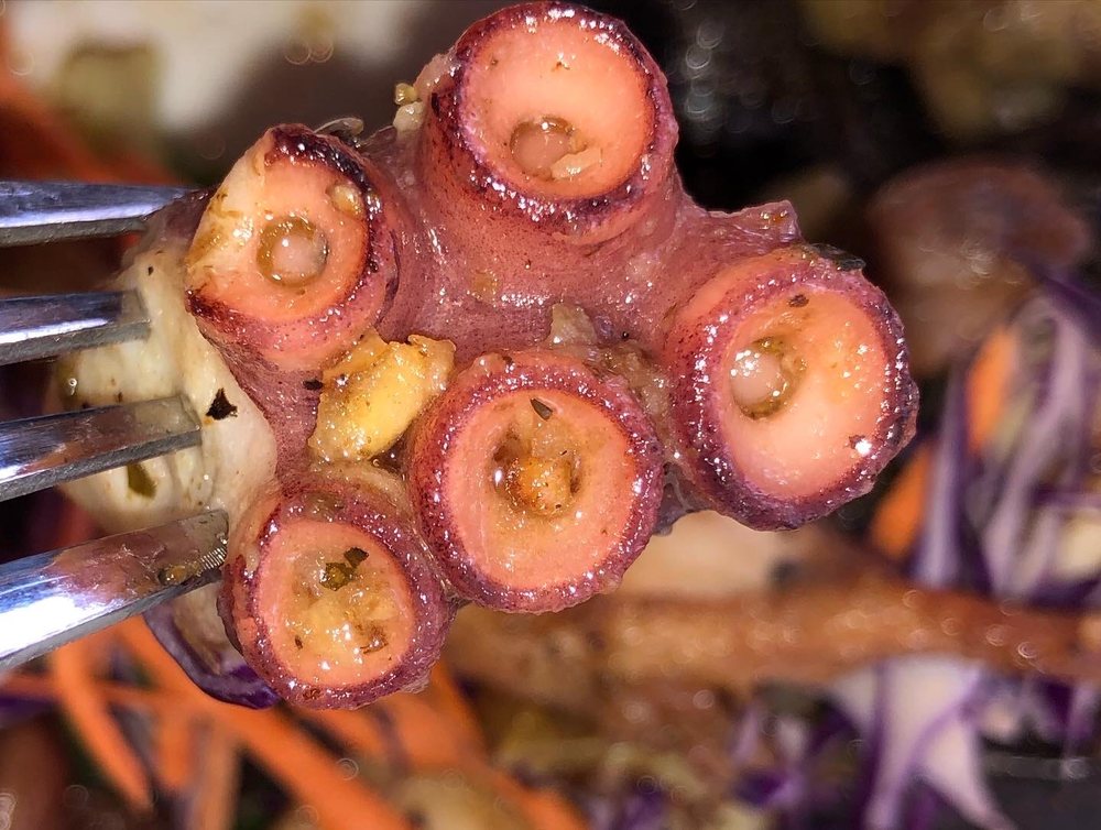 GREENHOUSE NEW HOPE 113 Photos & 108 Reviews Bars 90 S Main St