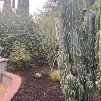 Growscapes - Cactus garden and new palo verde, agave - Landscaping Near Me Growscapes - Cactus garden and new palo verde, agave - Landscaping Near Me