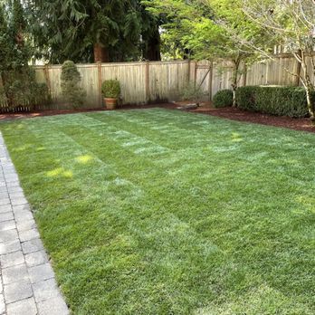 D Green Quality - Landscaping Near Me D Green Quality - Landscaping Near Me