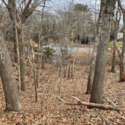 Bush Hill Nature Preserve - View of a pond from the esker