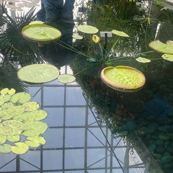 Crystal Bridge - Botanical Gardens Near Me - Oklahoma City, Oklahoma Crystal Bridge - Botanical Gardens Near Me - Oklahoma City, Oklahoma